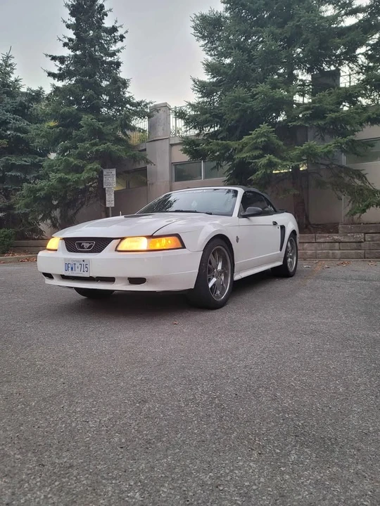 1999 Ford SN95 Mustang - Image 2 of 9