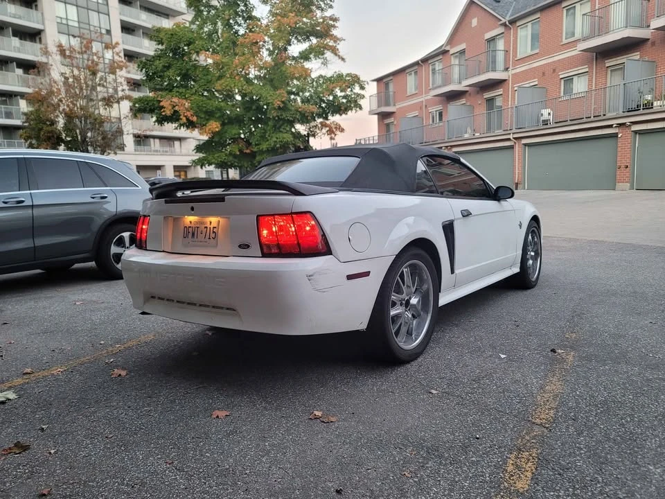 1999 Ford SN95 Mustang - Image 8 of 9