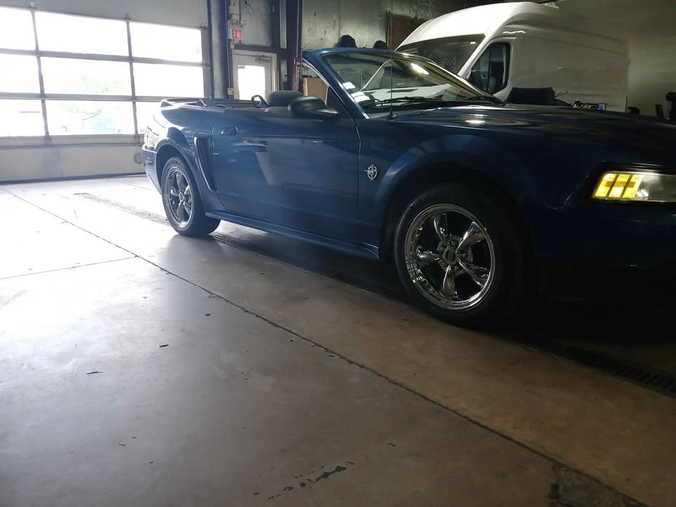 1999 Ford SN95 Mustang - Image 11 of 12