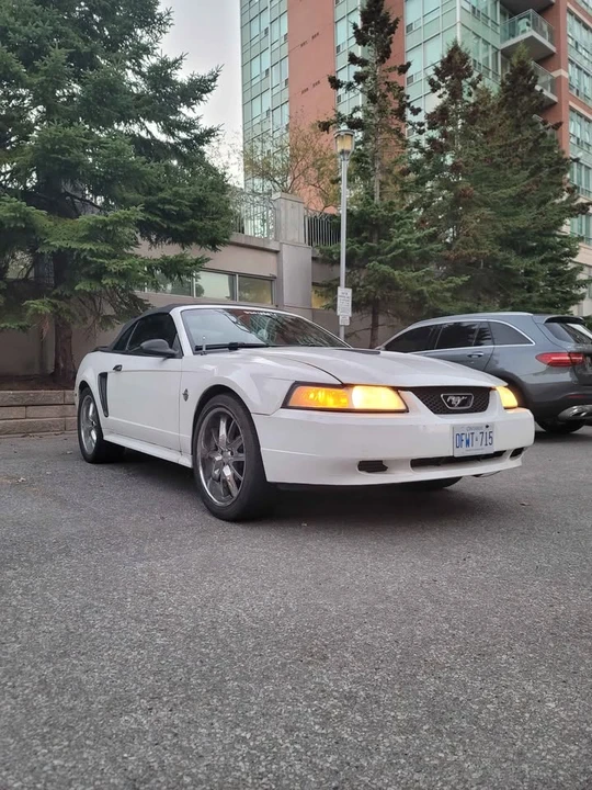 1999 Ford SN95 Mustang - Image 3 of 9