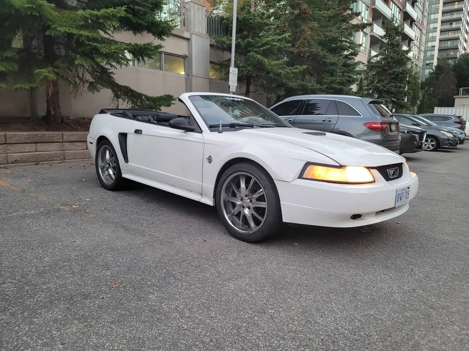 1999 Ford SN95 Mustang - Image 6 of 9