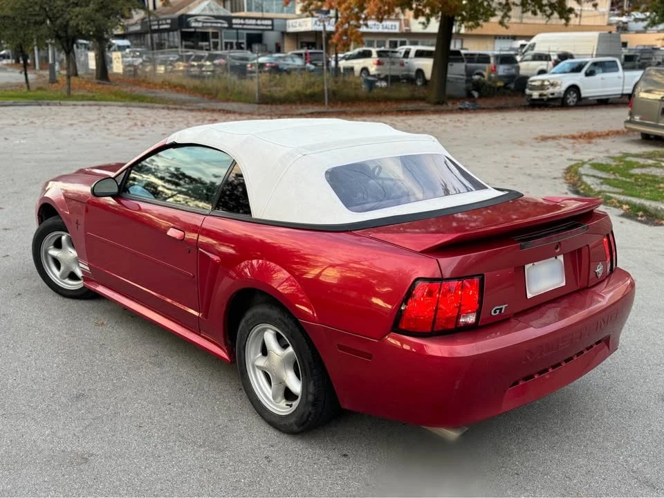 1999 Ford SN95 Mustang - Image 4 of 14