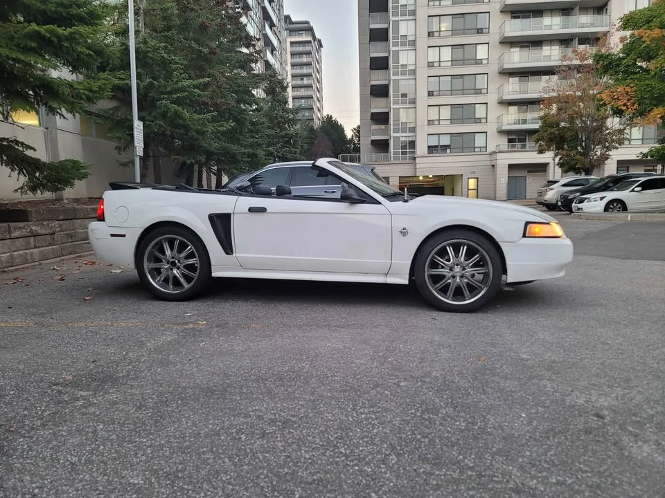 1999 Ford SN95 Mustang - Image 4 of 9