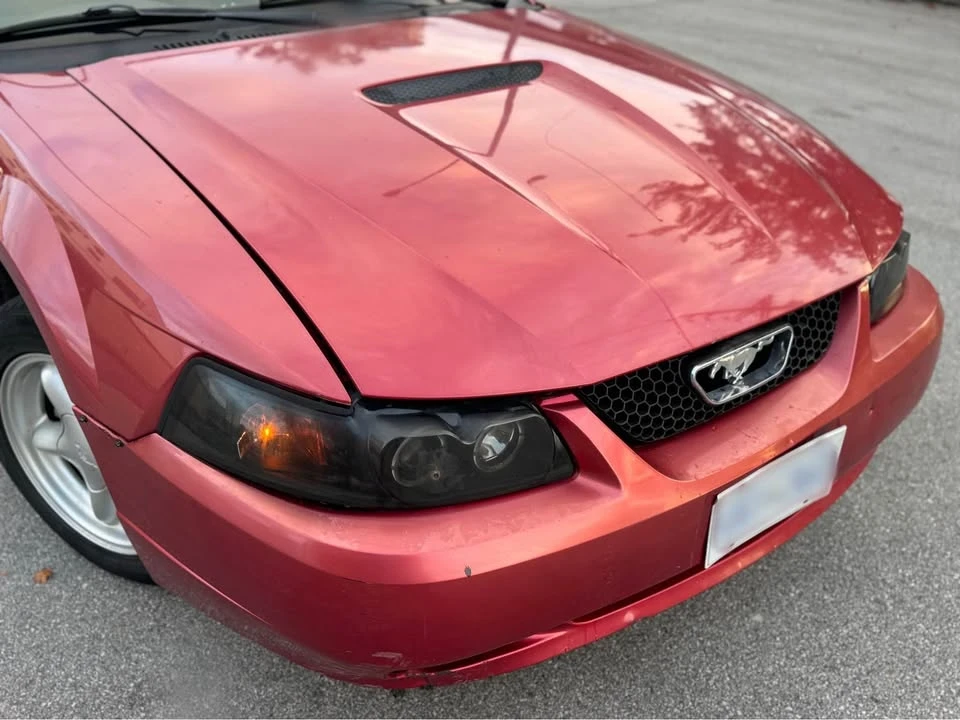 1999 Ford SN95 Mustang - Image 2 of 14