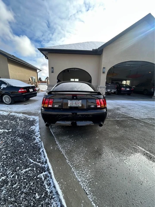 1999 Ford SN95 Mustang Cobra - Image 6 of 10