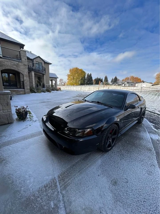 1999 Ford SN95 Mustang Cobra - Image 2 of 10