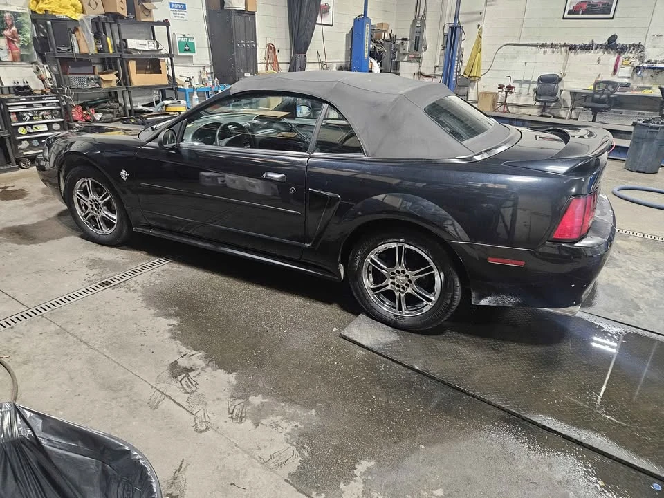 1999 Ford SN95 Mustang - Image 8 of 9