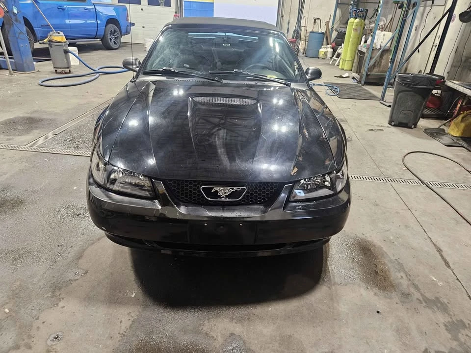 1999 Ford SN95 Mustang - Image 4 of 9