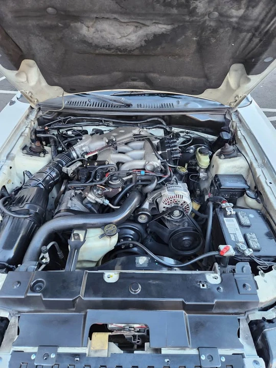 1999 Ford SN95 Mustang - Image 4 of 13