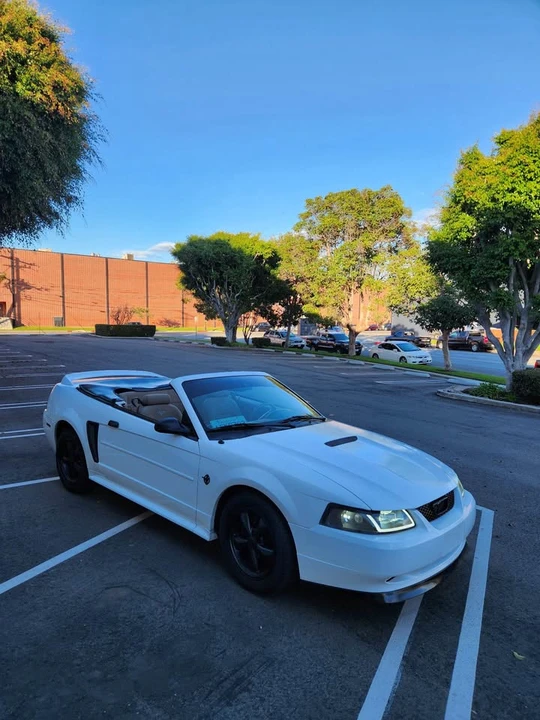 1999 Ford SN95 Mustang - Image 11 of 13