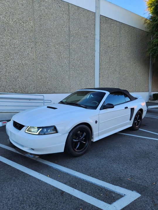 1999 Ford SN95 Mustang - Image 3 of 10