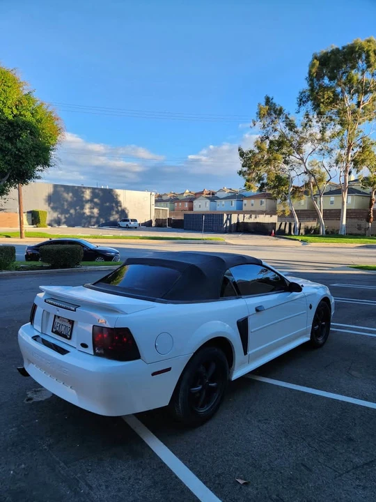 1999 Ford SN95 Mustang - Image 2 of 10