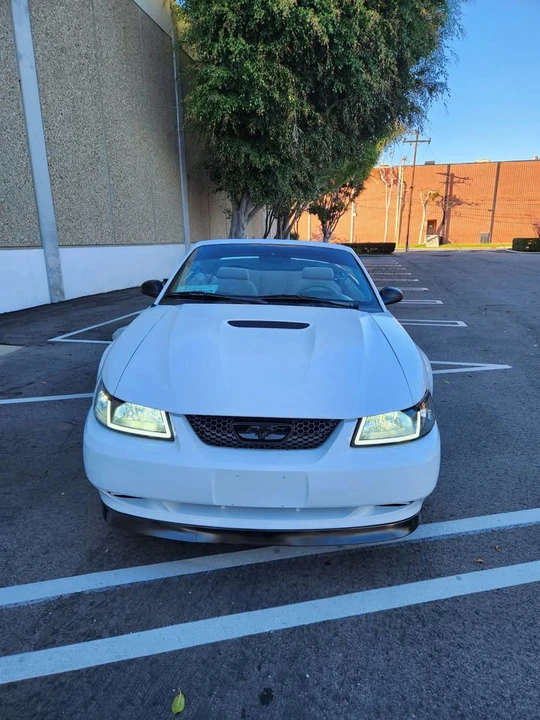 1999 Ford SN95 Mustang - Image 7 of 10