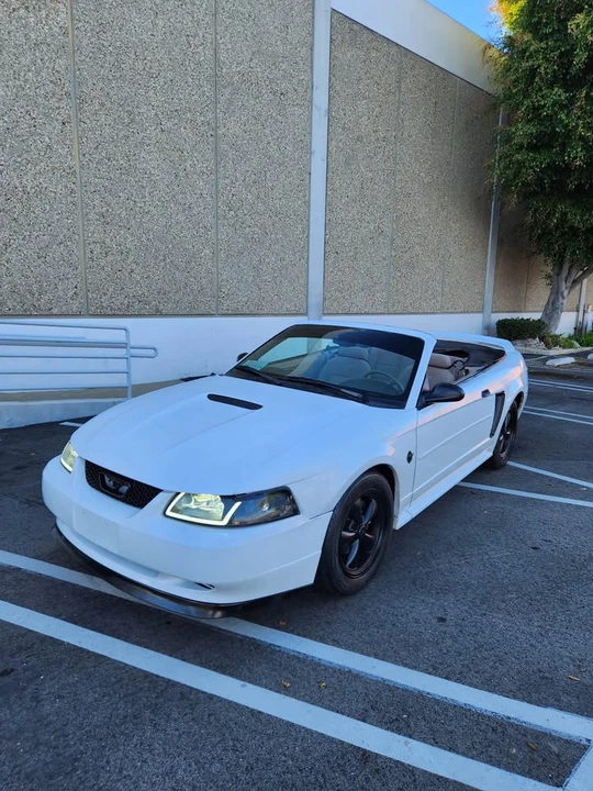 1999 Ford SN95 Mustang - Image 13 of 13