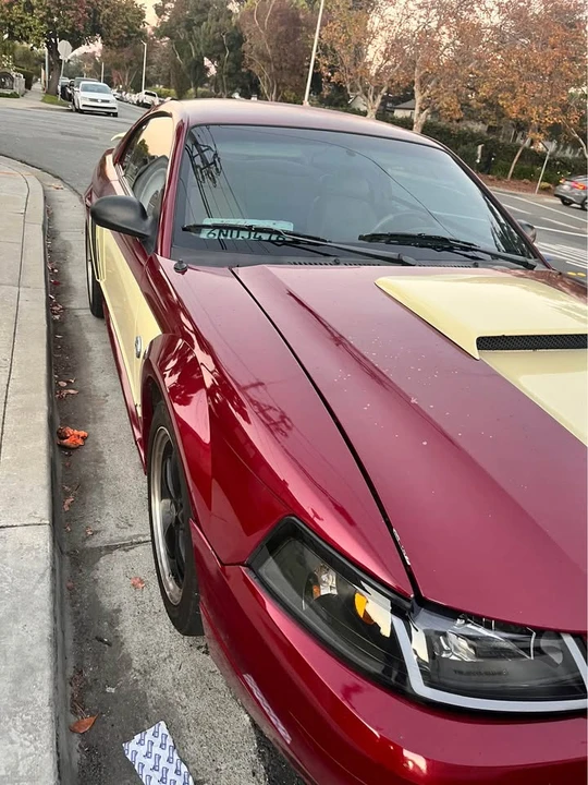 1999 Ford SN95 Mustang - Image 2 of 5