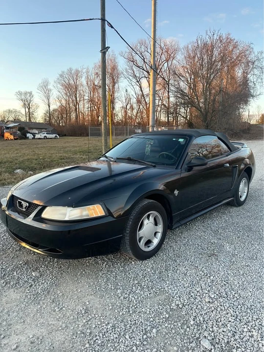 1999 Ford SN95 Mustang - Image 2 of 8