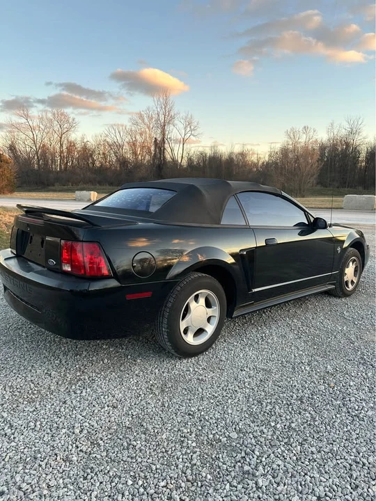 1999 Ford SN95 Mustang - Image 4 of 8
