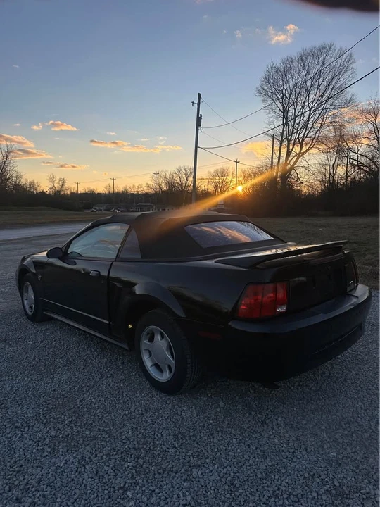 1999 Ford SN95 Mustang - Image 3 of 8