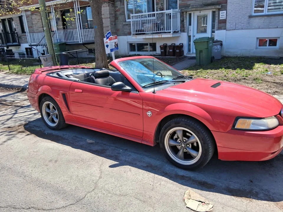 1999 Ford SN95 Mustang - Image 6 of 12