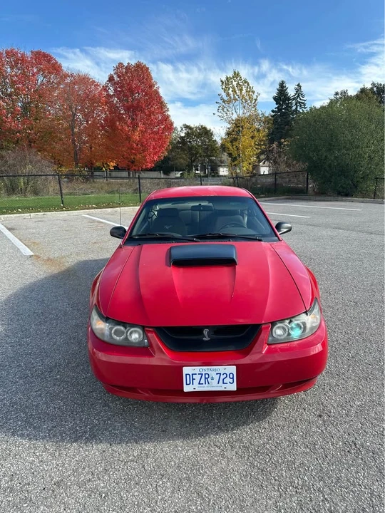 1999 Ford SN95 Mustang - Image 16 of 17