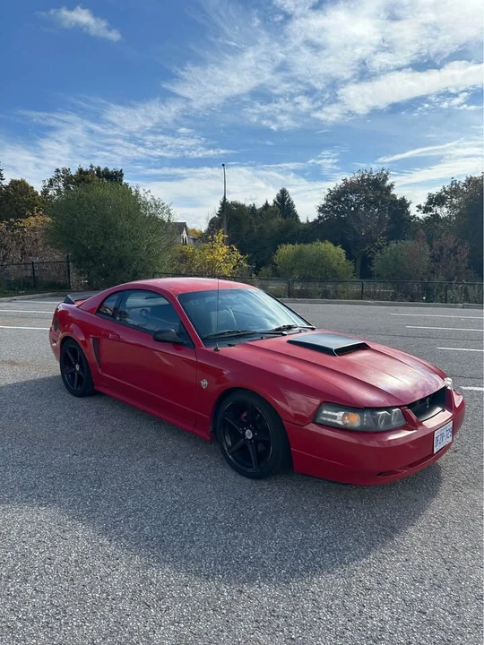 1999 Ford SN95 Mustang - Image 15 of 17