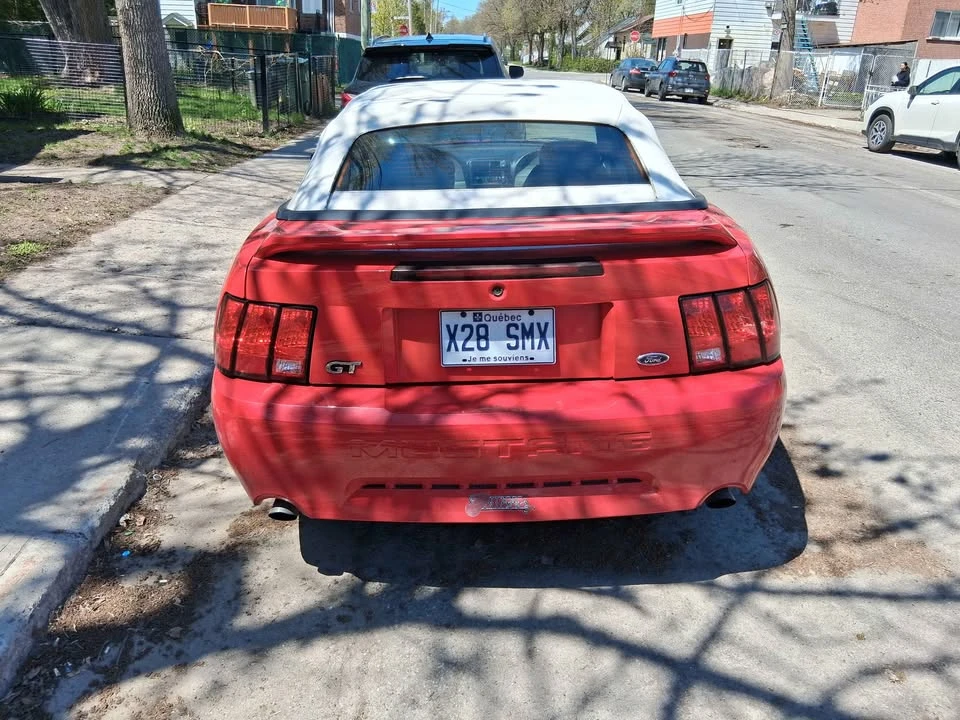 1999 Ford SN95 Mustang - Image 10 of 12