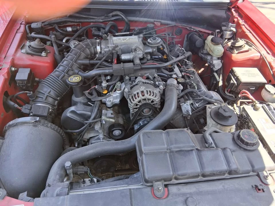 1999 Ford SN95 Mustang - Image 2 of 12