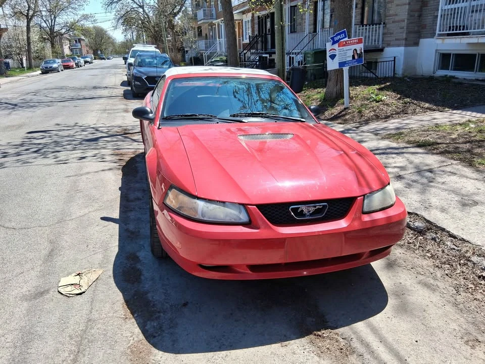 1999 Ford SN95 Mustang - Image 8 of 12