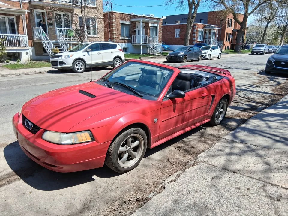 1999 Ford SN95 Mustang - Image 7 of 12