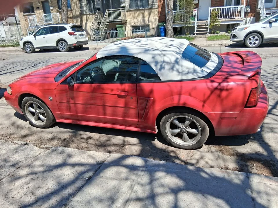 1999 Ford SN95 Mustang - Image 11 of 12