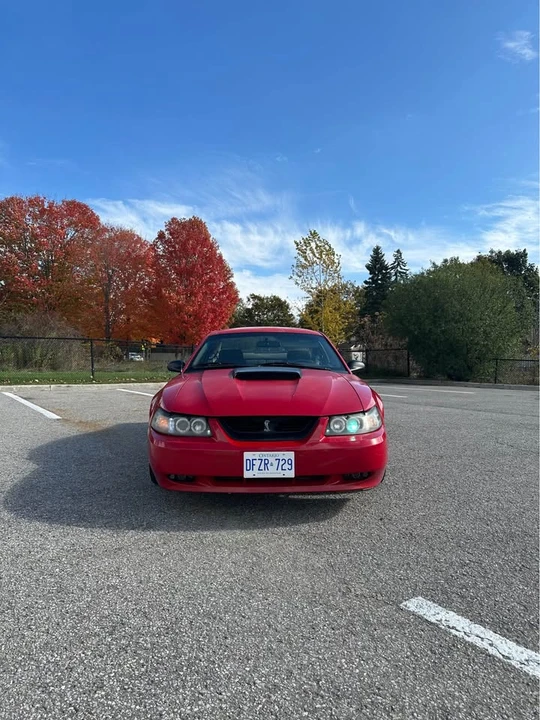 1999 Ford SN95 Mustang - Image 17 of 17