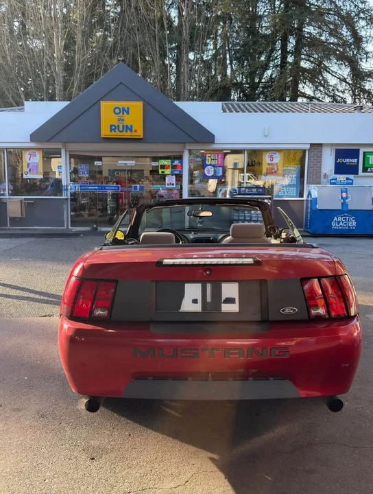 1999 Ford SN95 Mustang - Image 4 of 6
