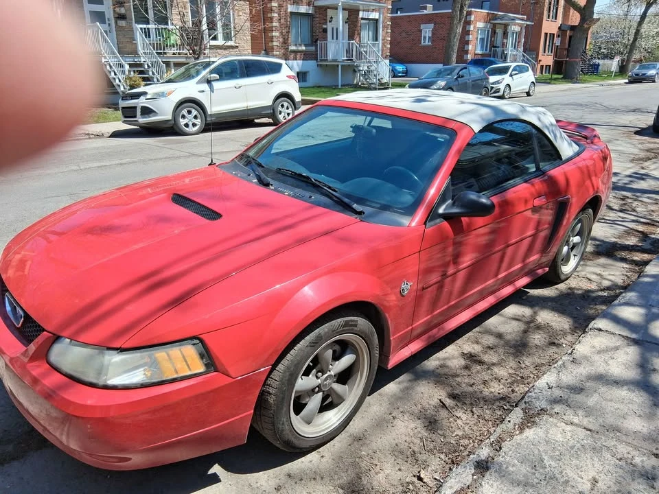 1999 Ford SN95 Mustang - Image 12 of 12