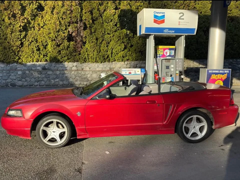 1999 Ford SN95 Mustang - Image 5 of 6