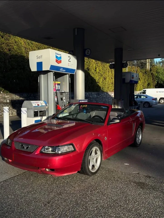 1999 Ford SN95 Mustang - Image 6 of 6