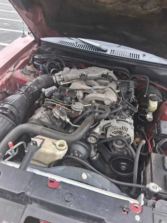 1999 Ford SN95 Mustang - Image 5 of 9