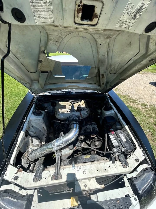 1999 Ford SN95 Mustang - Image 12 of 12