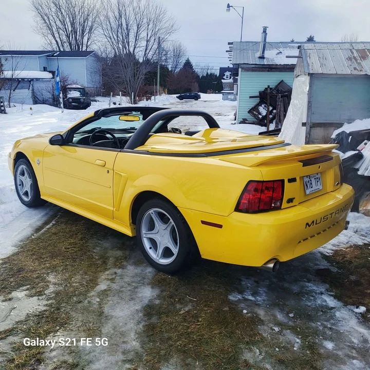 1999 Ford SN95 Mustang - Image 7 of 12