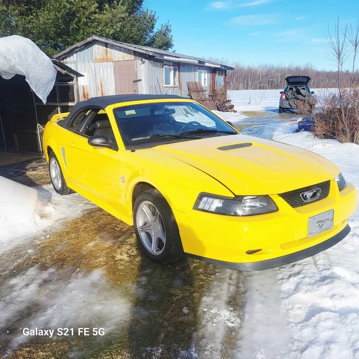 1999 Ford SN95 Mustang - Image 10 of 12