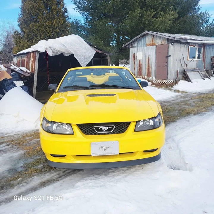 1999 Ford SN95 Mustang - Image 6 of 12