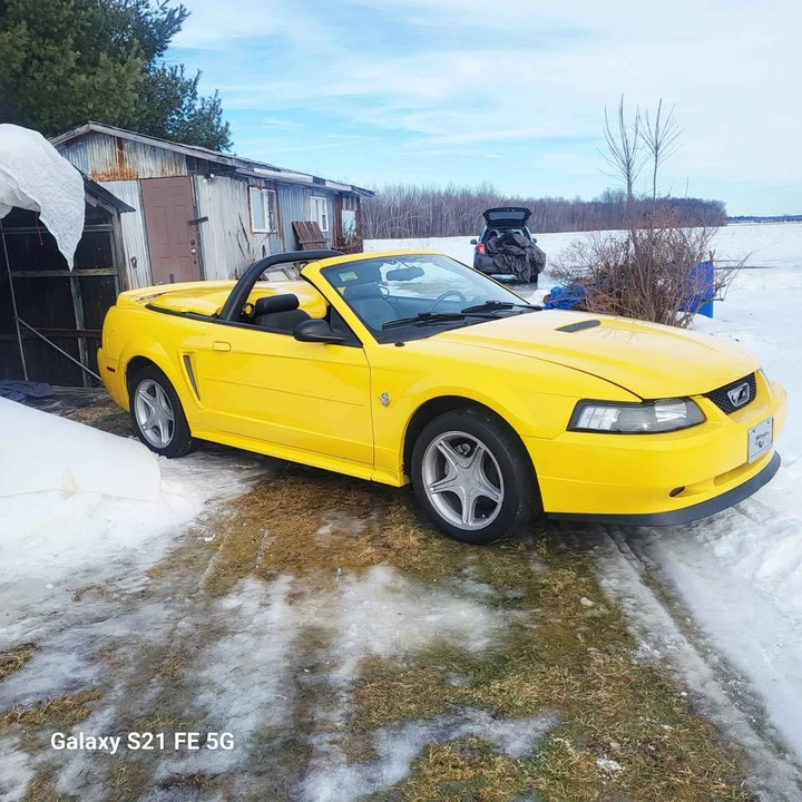1999 Ford SN95 Mustang - Image 5 of 12