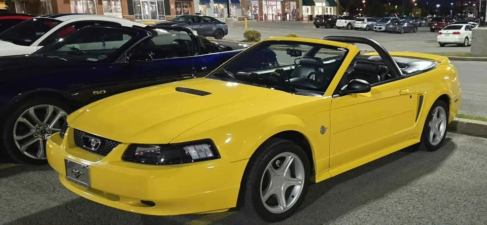 1999 Ford SN95 Mustang - Image 11 of 12