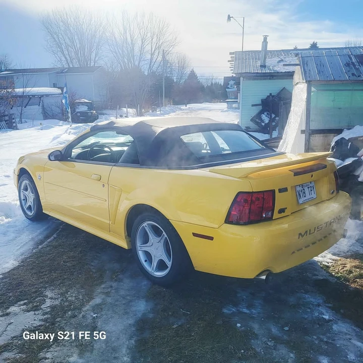 1999 Ford SN95 Mustang - Image 9 of 12