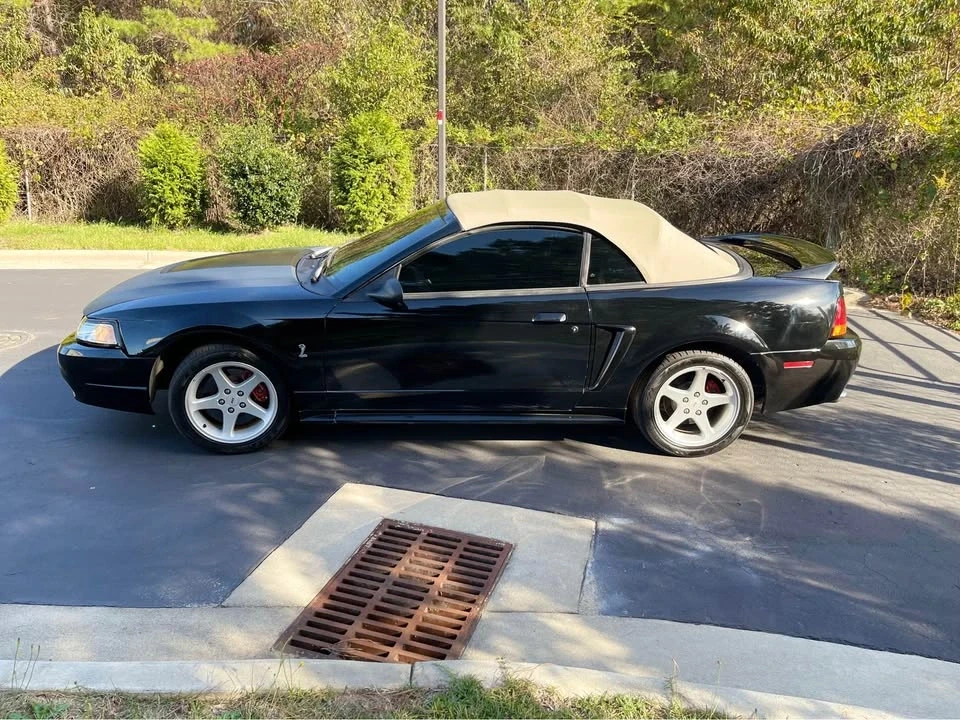 1999 Ford SN95 Mustang Cobra - Image 6 of 12