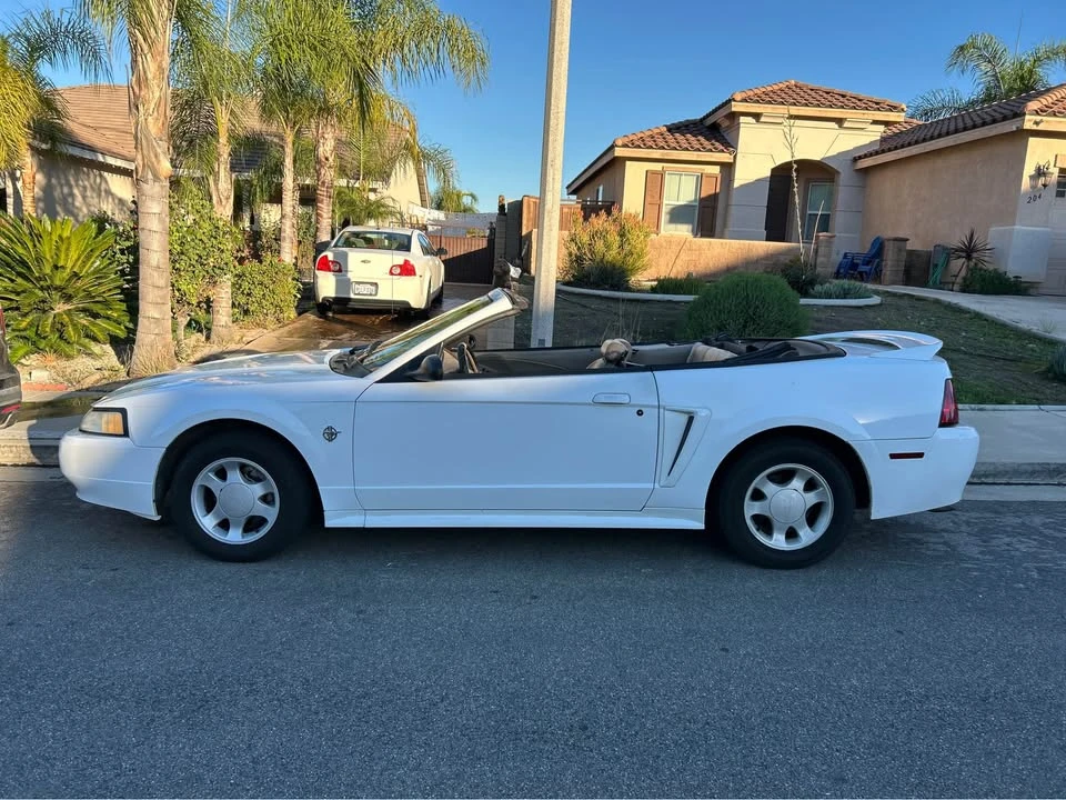 1999 Ford SN95 Mustang - Image 3 of 8