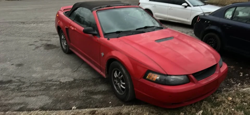 1999 Ford SN95 Mustang - Image 4 of 10