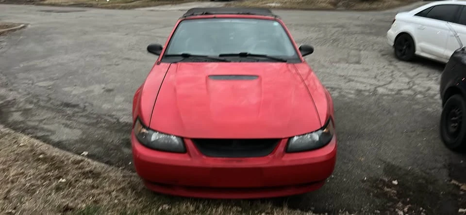 1999 Ford SN95 Mustang - Image 5 of 10