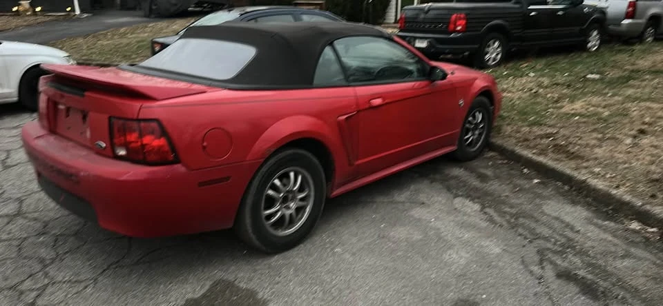 1999 Ford SN95 Mustang - Image 3 of 10