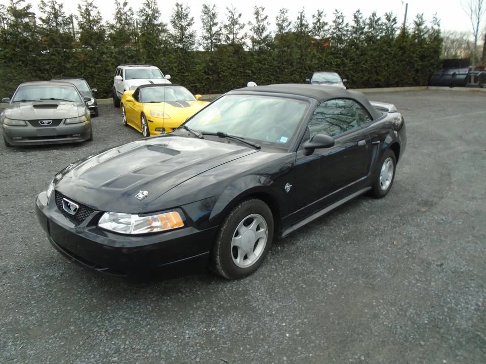 1999 Ford SN95 Mustang - Image 2 of 17