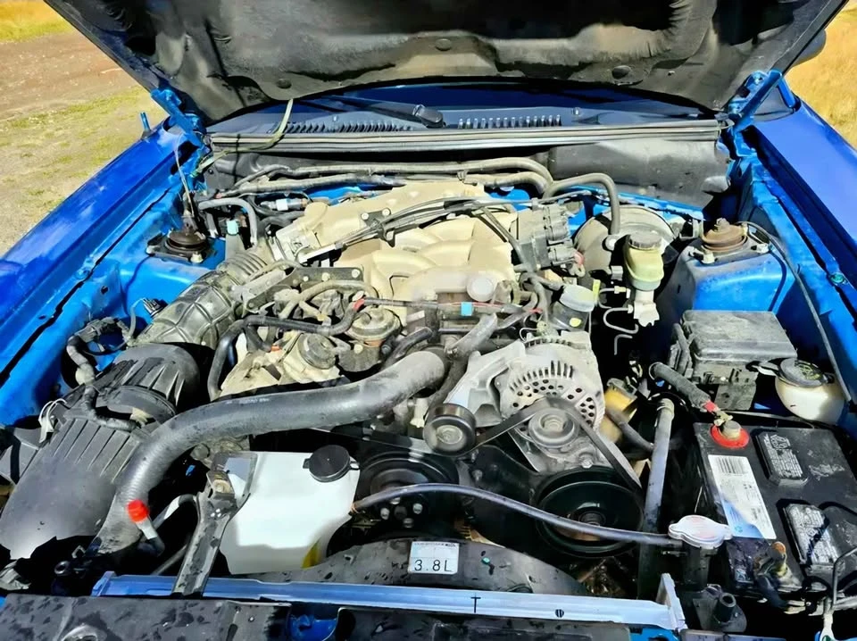 1999 Ford SN95 Mustang - Image 8 of 8